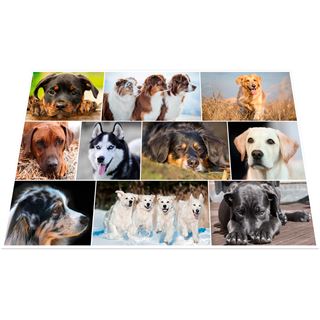 HERMA 3 Schreibtischunterlagen Karton Hunde