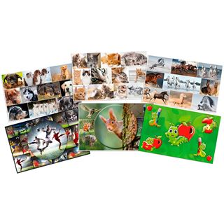 HERMA 3 Schreibtischunterlagen Karton Hunde