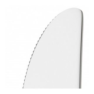 WMF Steakmesser silber gl&auml;nzend