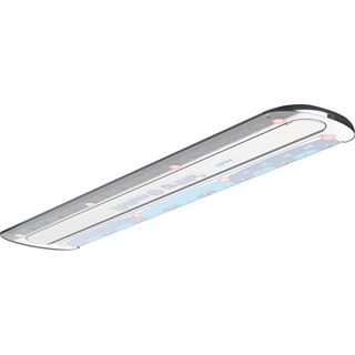 Pelikan Lineal griffix&reg; 15,0 cm, transparent