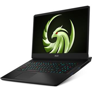 Notebook 17.3" (43.94cm) MSI Alpha 17 Ryzen 9 7945HX QHD 16GB