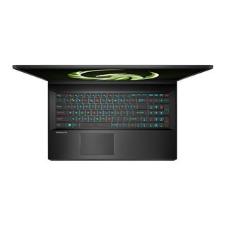 Notebook 17.3" (43.94cm) MSI Alpha 17 Ryzen 9 7945HX QHD 16GB