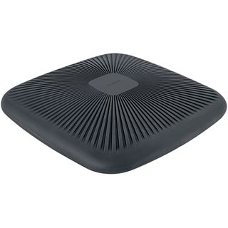 LEITZ Active Balance-Kissen grau