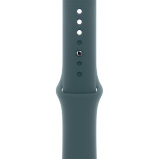 APPLE 46MM LAKE GREEN