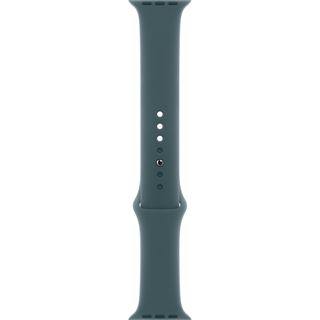 APPLE 46MM LAKE GREEN