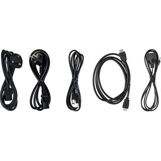 65" (165,10cm) iiyama ProLite TF6539AS-B1AG schwarz 3840x2160 1x