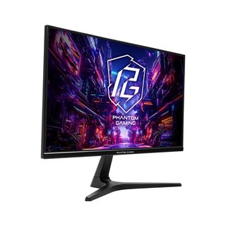 24,5" (62,23cm) ASRock Phantom Gaming PG25FFT schwarz 1920x1080