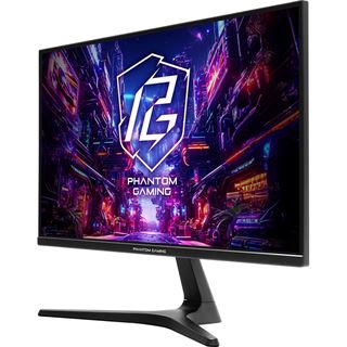 24,5" (62,23cm) ASRock Phantom Gaming PG25FFT schwarz 1920x1080