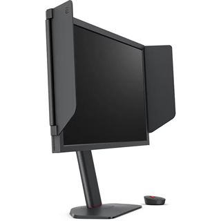 24.1" (61,21cm) BenQ ZOWIE XL2566X+ schwarz 1920x1080
