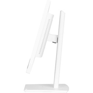 23,8" (60,47cm) iiyama XUB2497HSN-W2 Weiß 1920x1080 1x