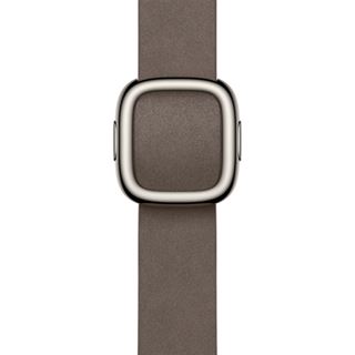 Apple 42mm Dark Taupe Modern Buckle - Medium