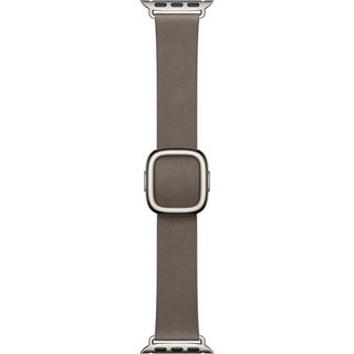 Apple 42mm Dark Taupe Modern Buckle - Medium