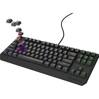 Genesis Gaming Tastatur THOR 230 TKL red kabelgeb. (DE)
