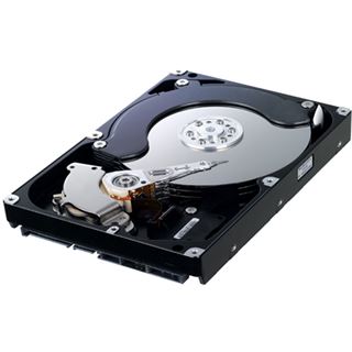 1TB Samsung Spinpoint F1 HD103UJ 32MB 3.5" (8.9cm) SATA 3Gb/s