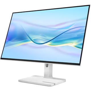27" (68,58cm) Lenovo L27h-4A schwarz/grau 2560x1440