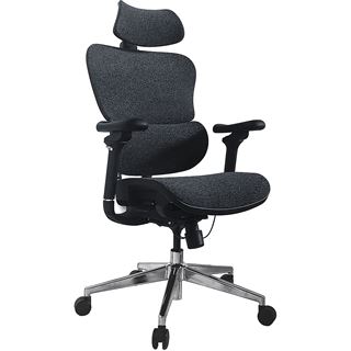Equip Ergonomischer B&uuml;rostuhl mit Kopf und Armst&uuml;tzen bl-sw
