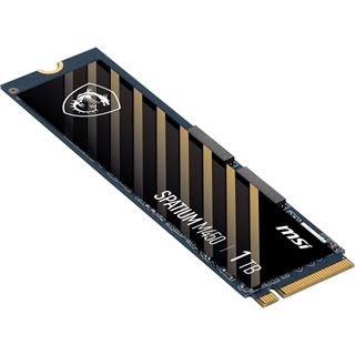 1TB MSI Spatium M450 M.2 2280 PCIe 4.0 3D NAND (S78-440L1B0-P83)