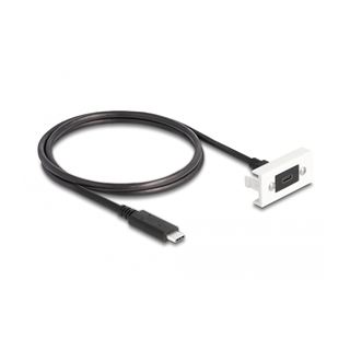 Delock Easy 45 Modul SuperSpeed USB 10 Gbps (USB 3.2 Gen 2)
