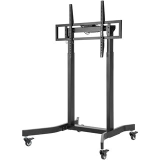 Equip Bodenstandhalter 55-100"/ 1TFT 120kg schwarz lite Retail