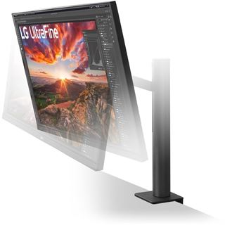 32" (81,28cm) LG Electronics Ultrafine 32UN880K-B schwarz