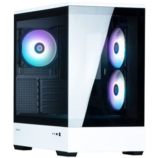 Zalman P30 BW Mini Tower ohne Netzteil schwarz/weiss