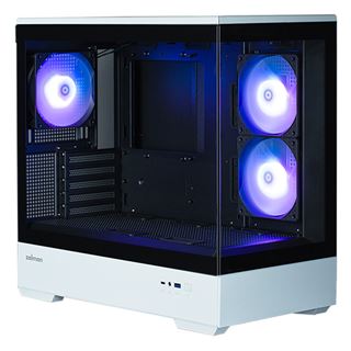 Zalman P30 BW Mini Tower ohne Netzteil schwarz/weiss