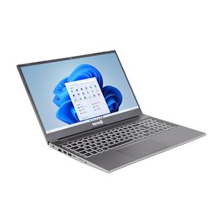 Notebook 15.6" (39,62cm) Terra MOBILE 1517R i3-1315U W11