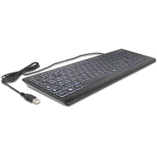 Delock USB Tastatur kabelgebunden 1,5 m schwarz mit XXL Bstb