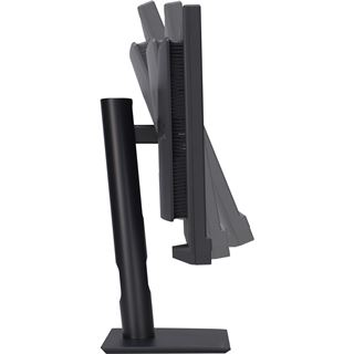 24.1" (61,21cm) Asus ProArt PA24US schwarz 3840x2160 1x BNC-In