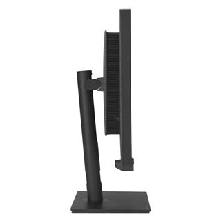 32" (81,28cm) Asus ProArt PA32UCXR schwarz 3840x2160