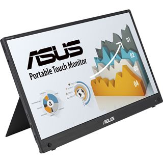 15,6" (39,62cm) Asus ZenScreen MB16AHT schwarz 1920x1080