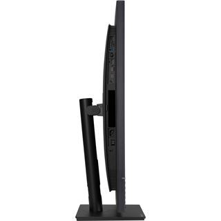 31.5" (80,01cm) Asus ProArt PA328QV schwarz 2560x1440 1x