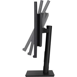 31.5" (80,01cm) Asus ProArt PA328QV schwarz 2560x1440 1x