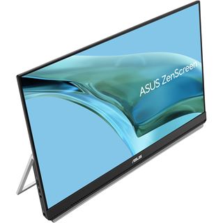 23,8" (60,47cm) Asus ZenScreen MB249C schwarz 1920x1080 1xHDMI