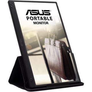 15,6" (39,62cm) Asus ZenScreen MB166C schwarz 1920x1080 1x USB-C