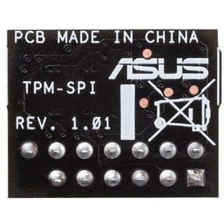 Asus TPM-SPI