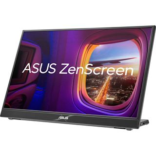16" (40,64cm) Asus ZenScreen MB16QHG schwarz 2560x1600 1x HDMI