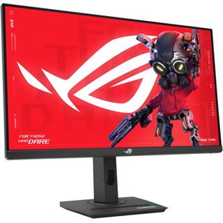 27" (68,58cm) Asus ROG Strix XG27UCS schwarz 3840x2160