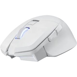 PowerColor ALPHYN AM10 Wireless 2.4 GHz und USB weiß (kabellos)