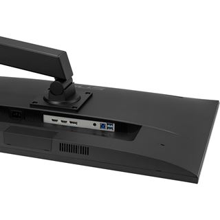 31.5" (80,01cm) Asus VA32UQSB schwarz 3840x2160 1x DisplayPort