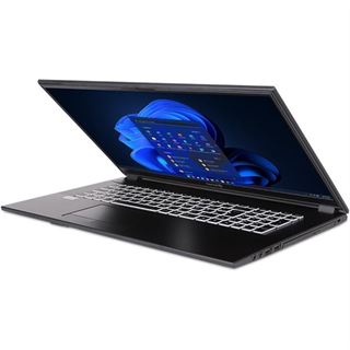 Notebook 17.3" (43,94cm) Terra MOBILE 1716R i3-1315U W11P