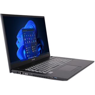 Notebook 17.3" (43,94cm) Terra MOBILE 1716R i3-1315U W11P