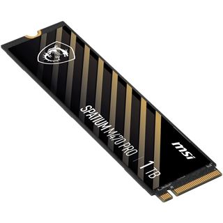 2TB MSI Spatium M470 M.2 2280 PCIe 4.0 x4 3D-NAND TLC