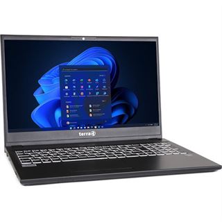 Notebook 15.6" (39,62cm) Terra MOBILE 1516R i5-1334U W11P