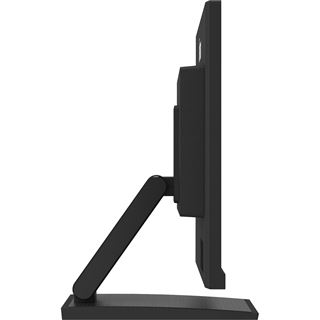 23,8" (60,47cm) iiyama ProLite T2454MSC-B2AG schwarz 1920x1080