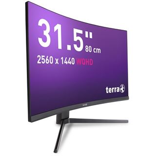 31.5" (80,01cm) Terra Curved 3285W schwarz 2560x1440