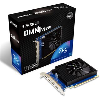 4GB SPARKLE Intel ARC A310 Omni View