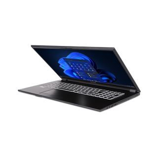 Notebook 17.3" (43,94cm) TERRA MOBILE 1716R i5-1334U W11P