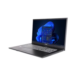 Notebook 17.3" (43,94cm) TERRA MOBILE 1716R i5-1334U W11P