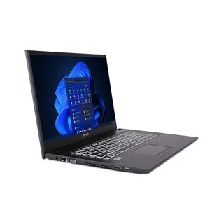 Notebook 17.3" (43,94cm) TERRA MOBILE 1716R i5-1334U W11P